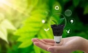 Nspyr’s Sustainable Celebrations: Green Practices in Event Management